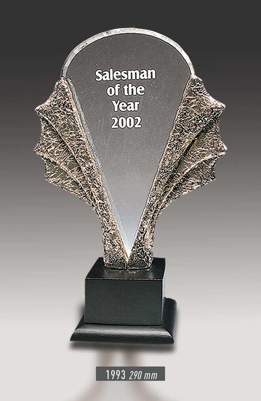 1993 - Award