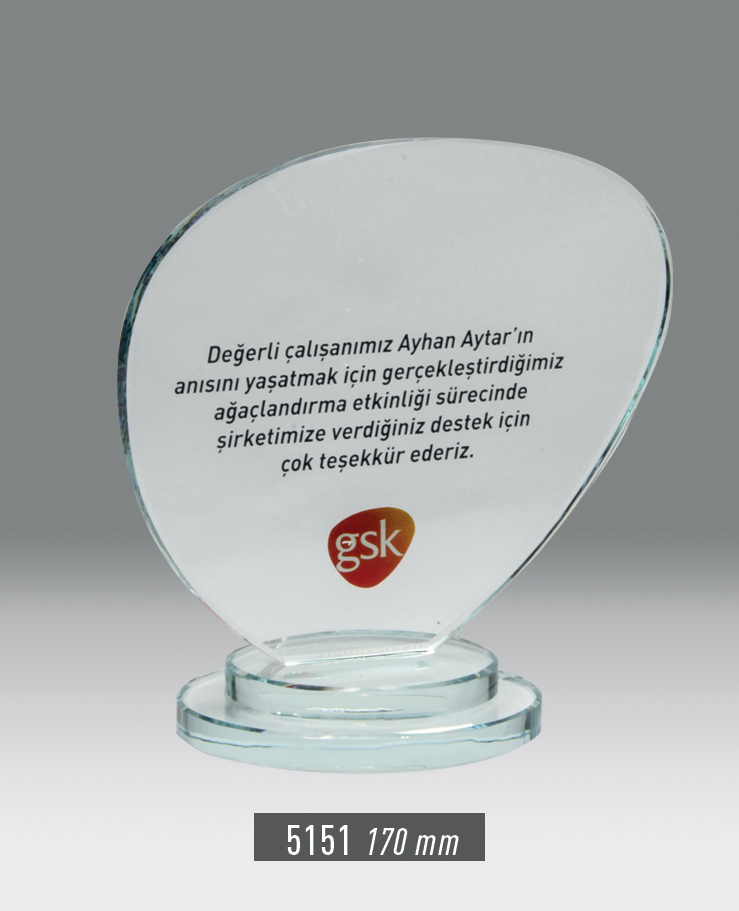 5151 - Plaket